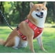 thumbnail image 3 of Pechera Arnés Para Perro Mediano Grande Seguridad Ajustable, 3 of 8