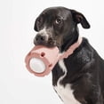 thumbnail image 5 of Dsscvnef Durable Rubber Dog Puzzle Toy with Tennis Dispenser Chew Interactive Game for Medium Large Dogs Talking Dog Dog Chew Stick Dog Chew Bones for Small Dogs, 5 of 5