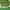 D, variant on 100Fens Simulation Fence Fence Telescopic Fence Fake Flower Green Leaves Outdoor Courtyard Wall Guardrail Decorative Leaves To Shield Plants
