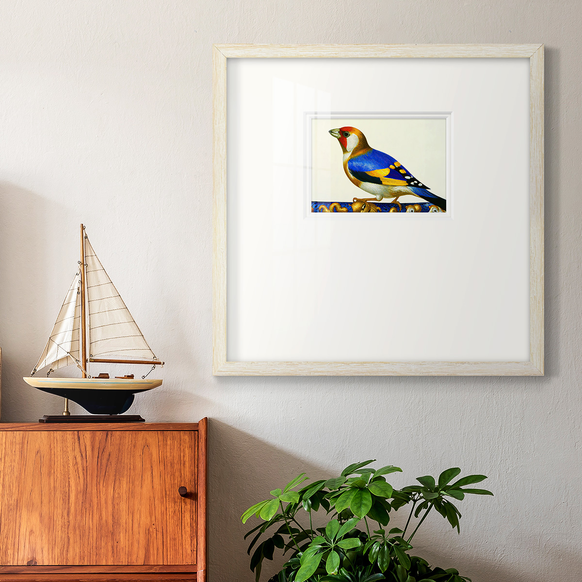 Blue Gold FinchPremium Framed Print