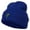 Royal, variant on Christmas Cactus Embroidered Long Beanie - Olive OSFM