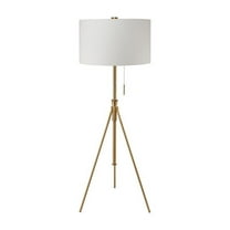 Furniture of America Coria Contemporary Metal 20" Floor Lamp in Stained Gold