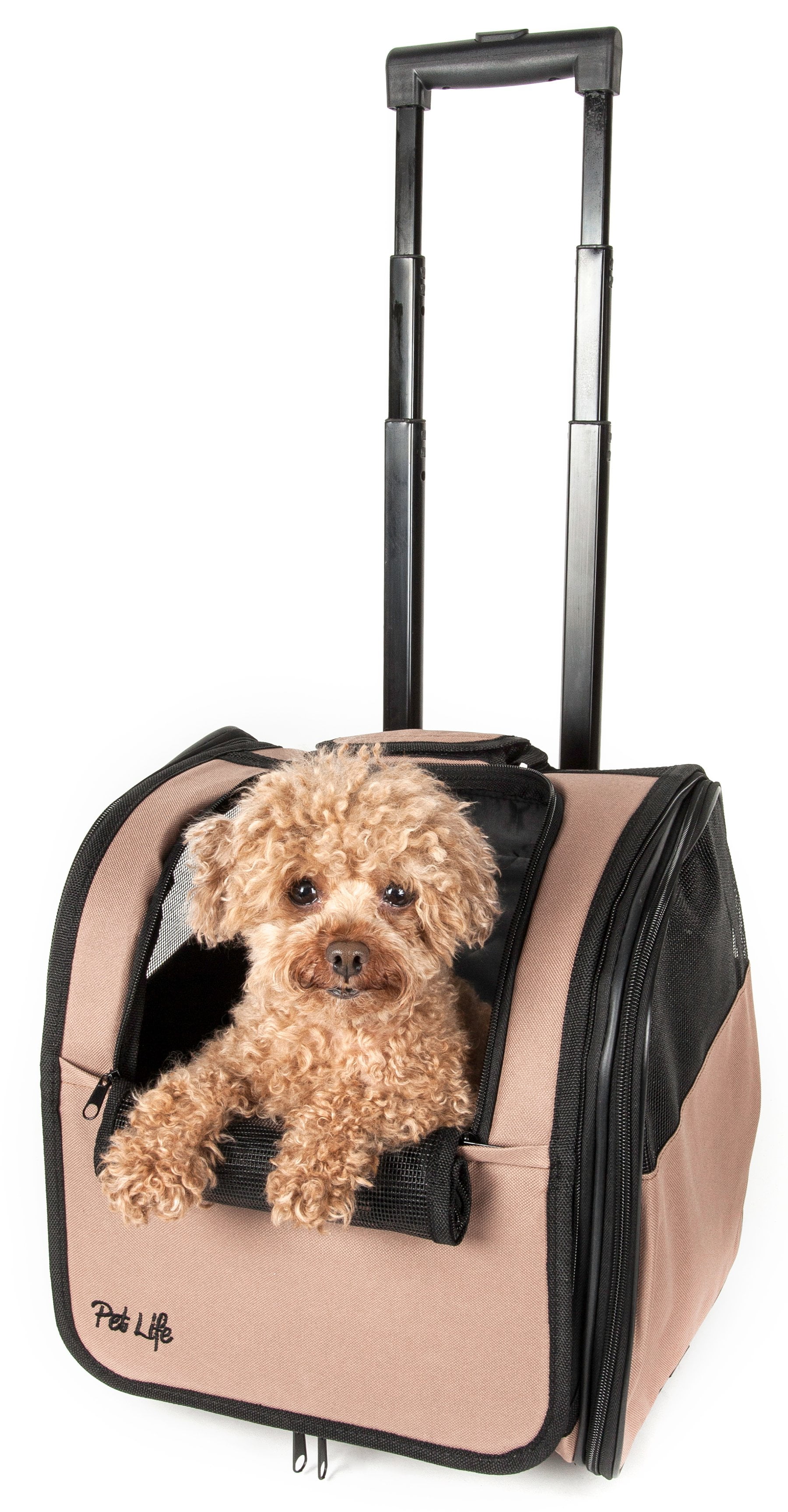 Pet Life ® 'Pawdon Me ' Wheeled Airline Approved Travel Collapsible Pet