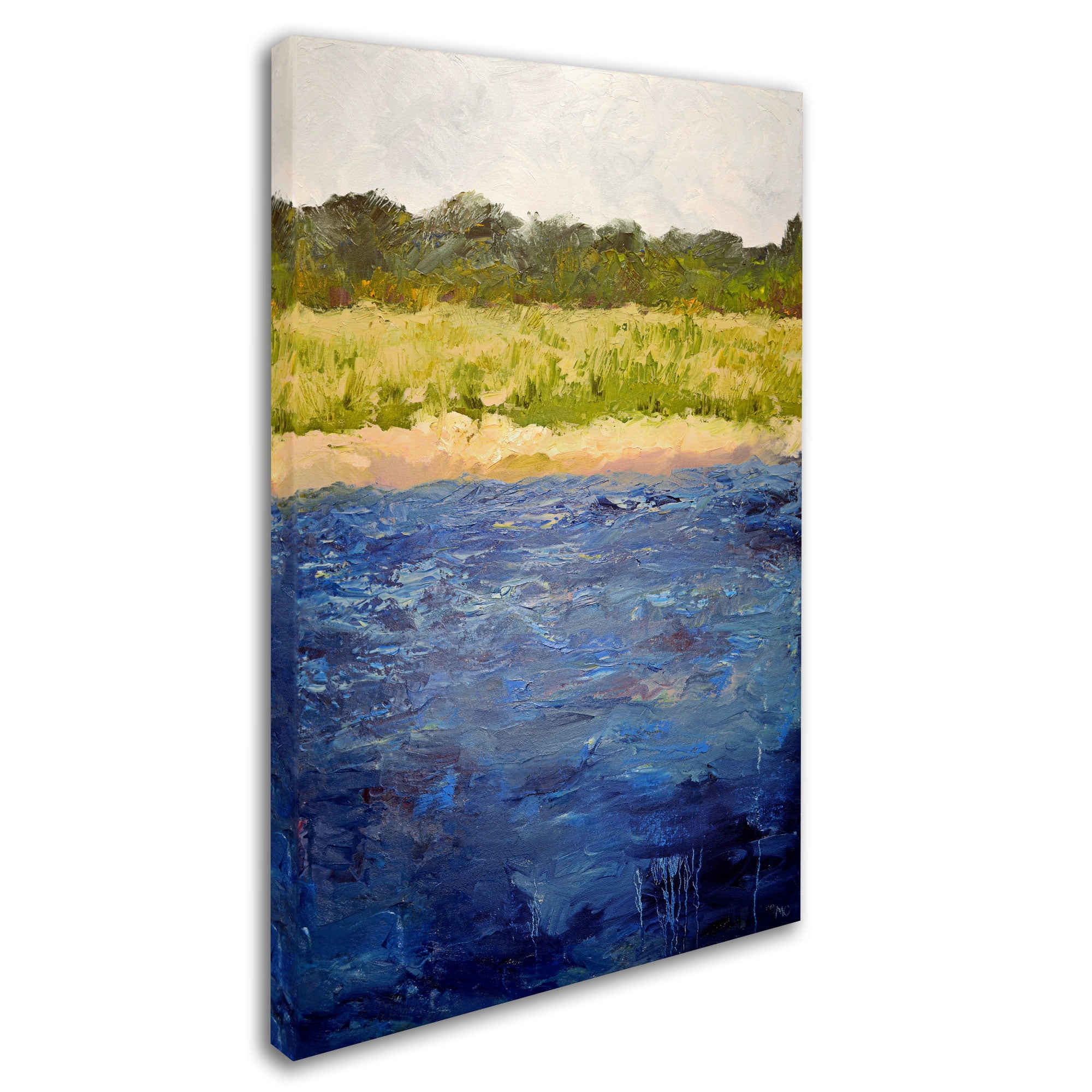 Trademark Fine Art "Coastal Dunes" Canvas Art by Michelle Calkins