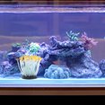 thumbnail image 1 of WHAMVOX De Acuario Con Marina Artificial De Silicona Resistente, 1 of 8