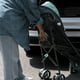 thumbnail image 2 of Ingenuity: ity by Ingenuity Smooth Stroll Convenience Stroller, Lightweight, with Aluminum Frame, Large Seat Area, 2 Position Recline, Extra Large Storage Basket – for Travel, 2 of 5
