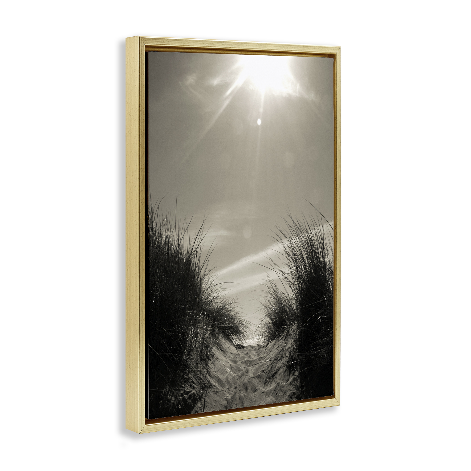 Stupell Industries Dune Valley Landscape Coastal Photography Gold Floater Framed Canvas Art Print Wall Art, 21 x 31