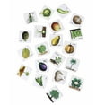 thumbnail image 4 of ISTAR 62 Pieces Jigsaw Educational Vegetables and Their Plants Card Game And Puzzles, 4 of 4