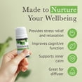 thumbnail image 3 of Pranarom - Tranquility Essential Oil Blend (5ml) - Lemon, Bergamot, Distilled Lime, Petitgrain, Spearmint, Orange - 100% Pure Essential Oil for Grounding & Clarity|USDA and ECOCERT Certified Organic, 3 of 7