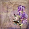 thumbnail image 3 of Lavoie, Tina 12x12 Black Modern Framed Museum Art Print Titled - Ville de Paris II, 3 of 5