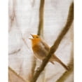 thumbnail image 3 of Kimberly, Allen 12x14 Black Modern Framed Museum Art Print Titled - Bird on a Branch 2, 3 of 5