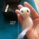 thumbnail image 4 of 26-27 Halloween Adopt A Ghost Doll Halloween Spooky Pocket Ghost Toy For Kids Children Halloween Gift Jan88, 4 of 5