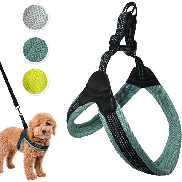 Harnais Pour Chien Sporn Easy-fit En Maille Pour Chien De Grande Taille, Harnais Turquoise En Nylon Doux Sans Étranglement Pour Chien De Grande Taille Harnais De Promenade Pour Chien
