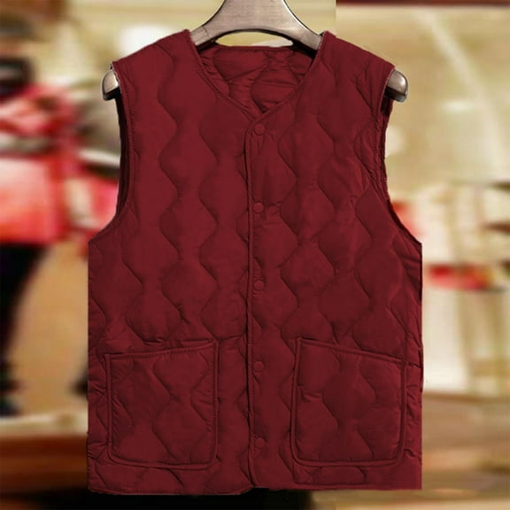 Puffer Vest Women Button Down Lightweight Sleeveless Quilted Padded Jacket with Pockets Fall Winter Warm Cozy Casual Outdoor