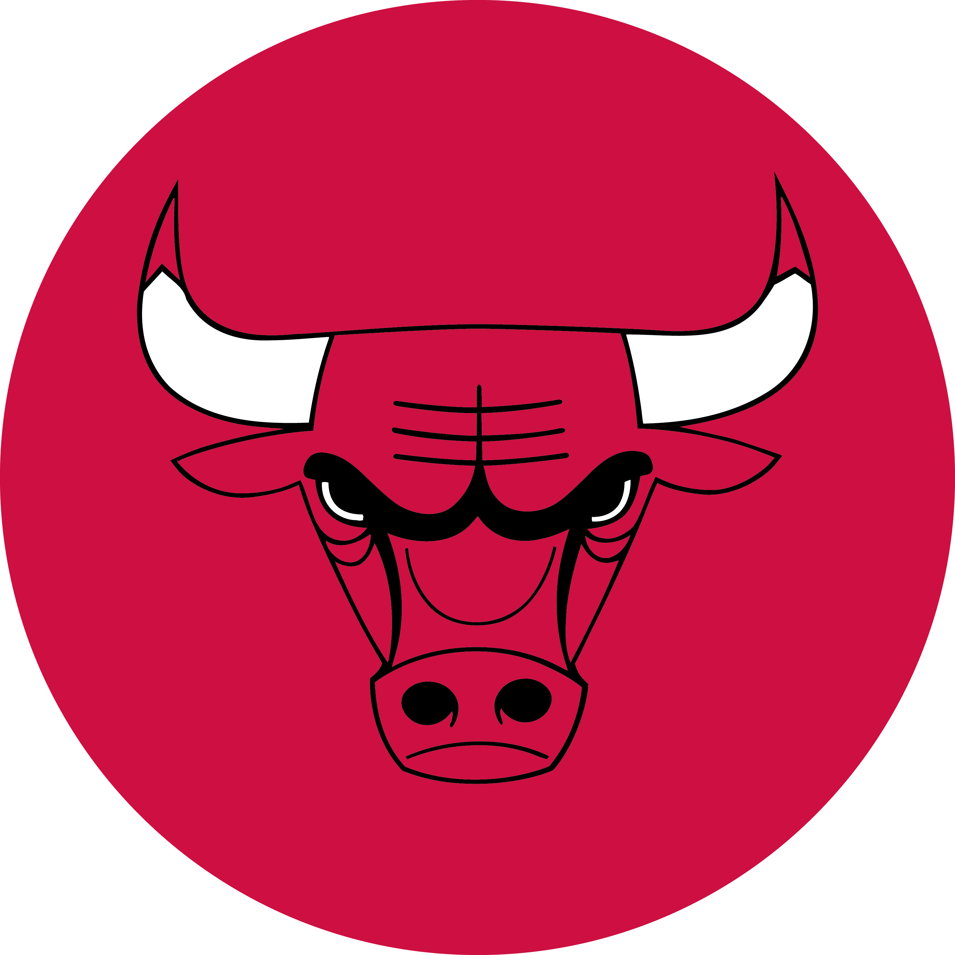 Chicago Bulls