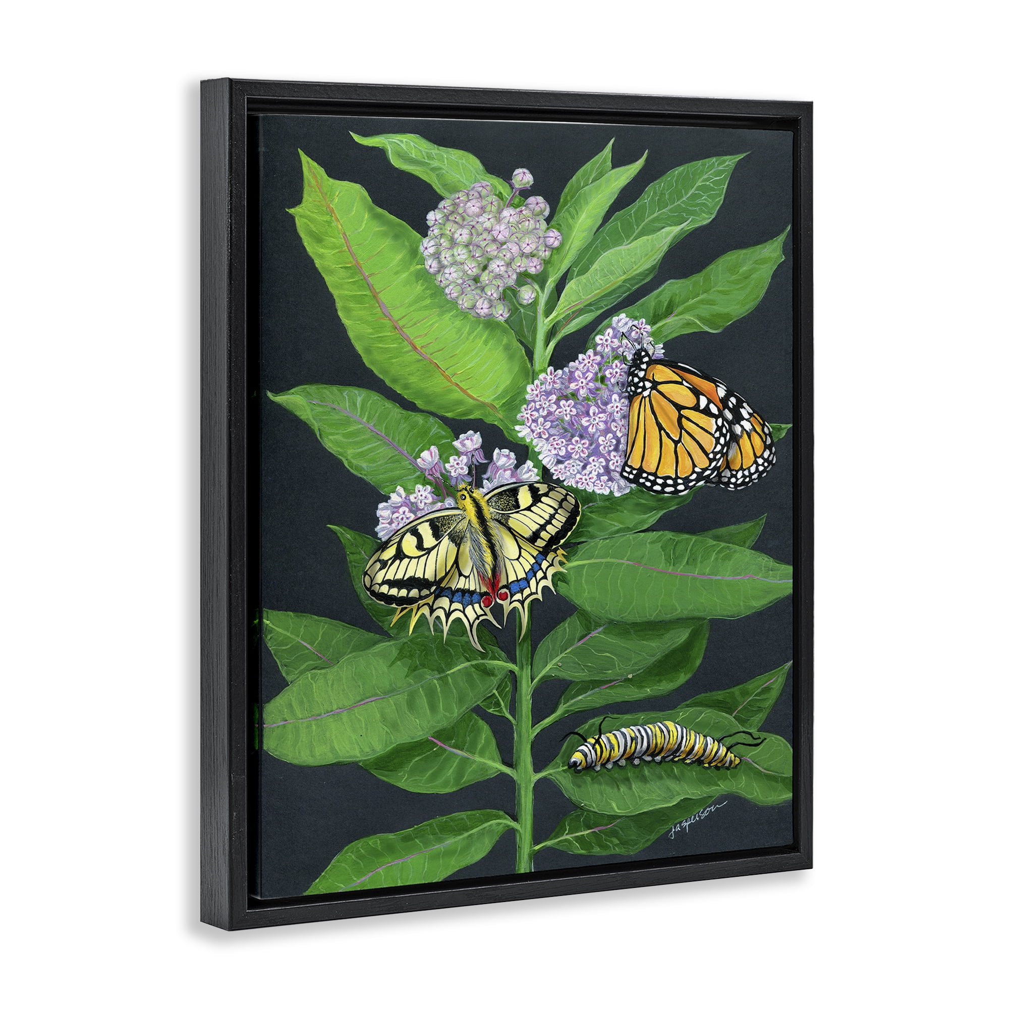 Stupell Industries Vintage Milkweed & Insects Animals & Insects Painting Black Floater Framed Art Print Wall Art, 17 x 21