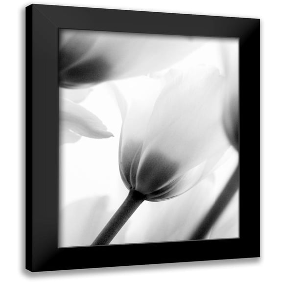 Kimberly, Allen 12x14 Black Modern Framed Museum Art Print Titled - Black and White Tulip 2