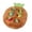 Brown2, variant on An Interactive Carrot Playing Hide And Seek With A Cat