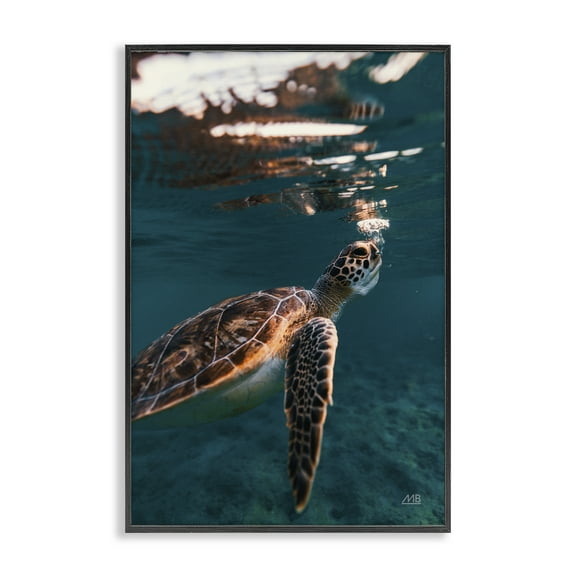 Stupell Industries Blowing Bubbles Turtle Animals Photography Black Framed Art Print Wall Art, 12 x 18