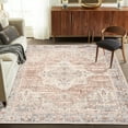thumbnail image 6 of ReaLife Machine Washable Rug - Stain Resistant, Non-Shed - Eco-Friendly, Padded, Family & Pet Friendly - Made from Premium Recycled Fibers - Vintage Distressed Traditional Gray Blush - 5' x 7', 6 of 6