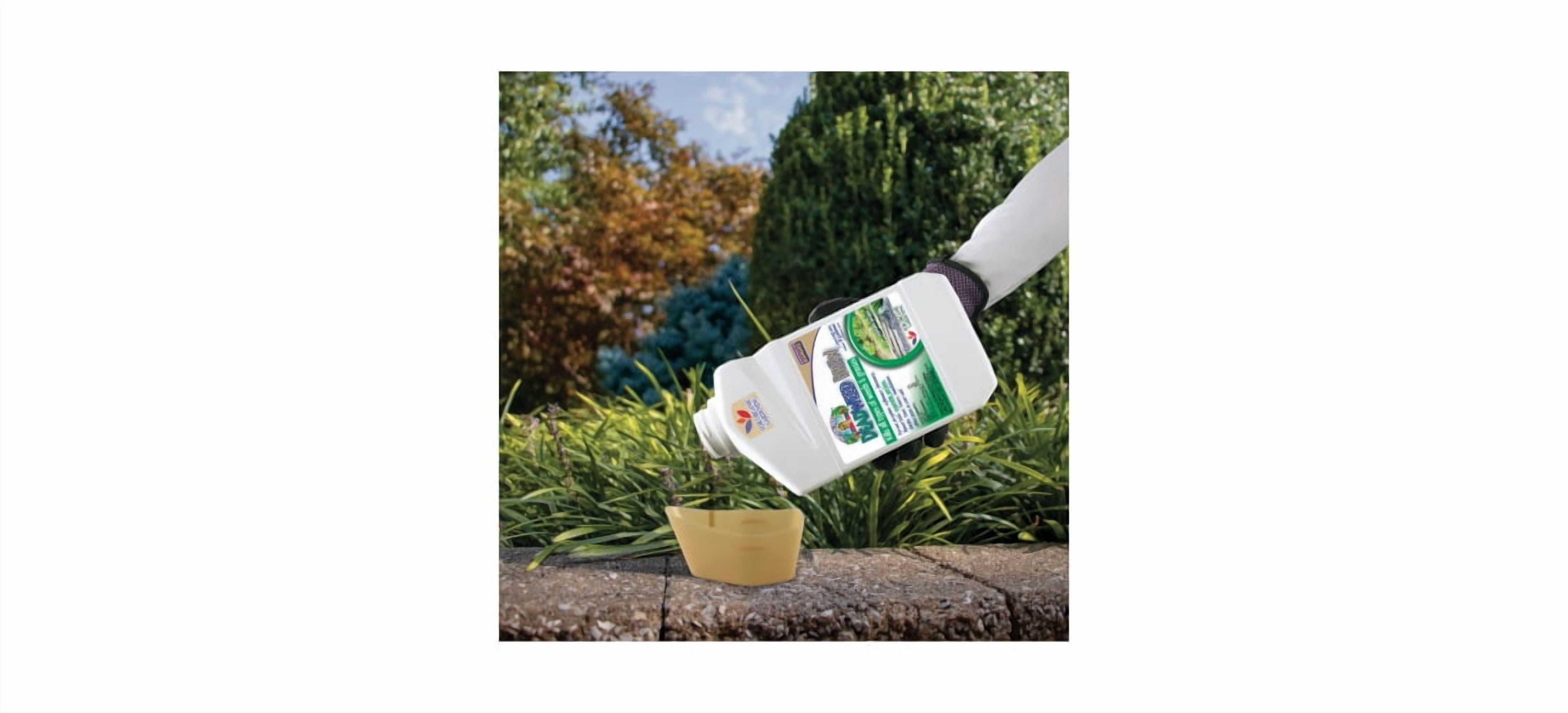 Bonide Captain Jack's Broadleaf Weed Killer Concentrate - Weed & Grass Killer - 32 Oz