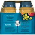 thumbnail image 7 of Gerber Baby 100% Juice Variety Pack, 16 oz (Pack of 3), 7 of 7