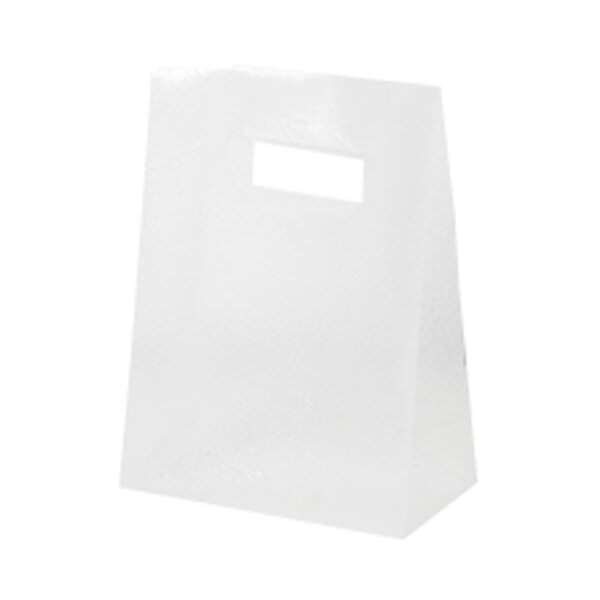 small clear lunch bag