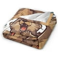 thumbnail image 3 of Otter Blanket and Throws Fleece Blankets Decorative for Adults and Kids Design Pretty Gift Home Decorative Living Room Sofa Hug Plush Soft Bedroom Cozy Blanket 40"x50", 3 of 6