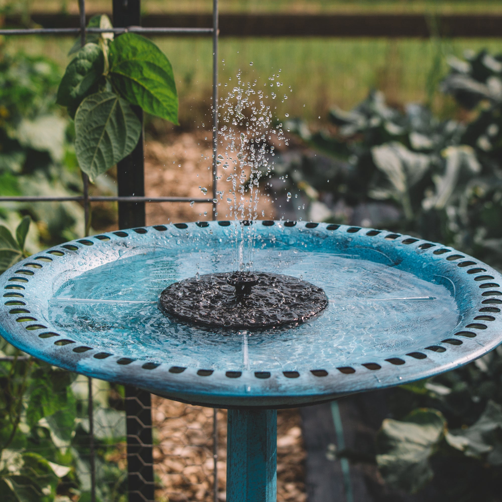 Backyard Expressions Solar Pump Outdoor Bird Bath Fountain, Antique Blue Finish