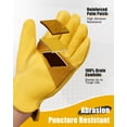 thumbnail image 2 of Guantes de trabajo DULFINE de piel de vacuno resistentes a perforaciones y cortes, 2 of 7