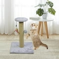 thumbnail image 3 of tredstone Poteau à Griffer pour Chat Poteau à Griffer Cadeau Durable pour Chatons Fournitures Carré Gris, 3 of 9