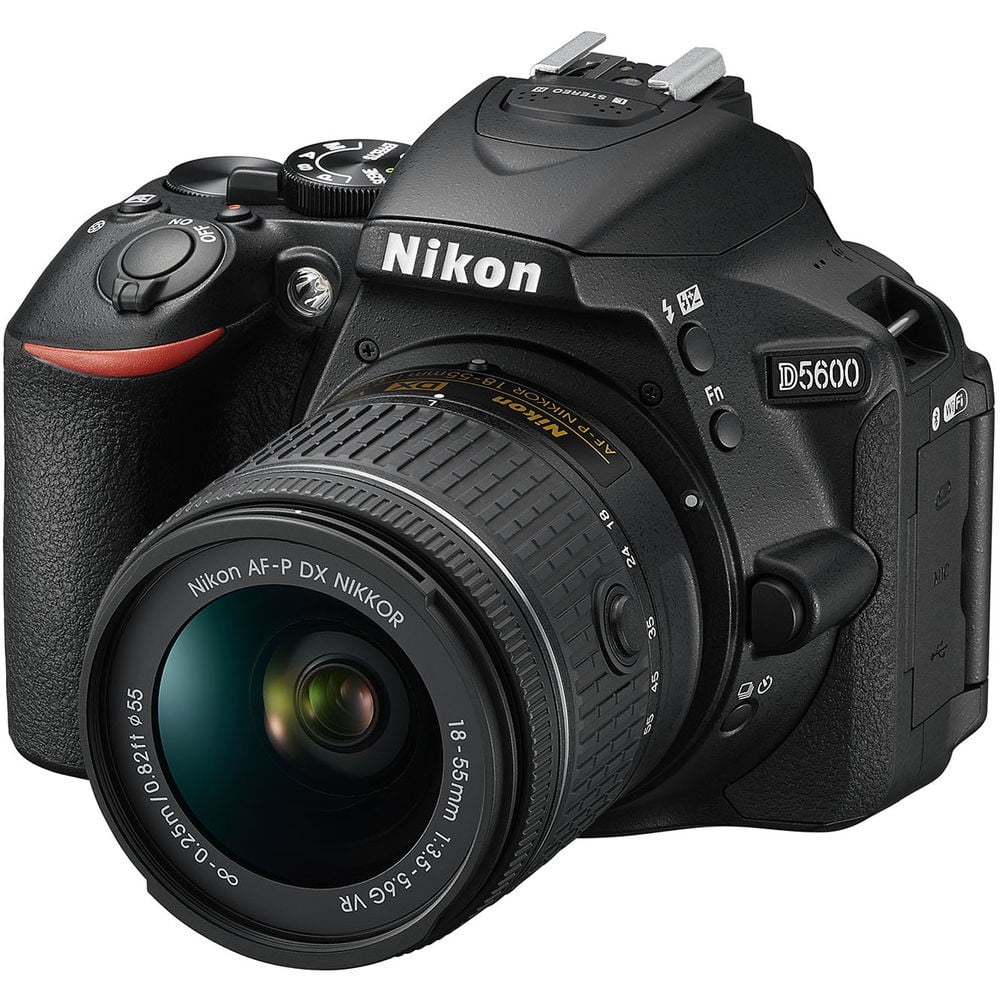 Nikon D5600 18-55mm VR 美品 SC3772 eac92070-73eb-4096-a45f-
