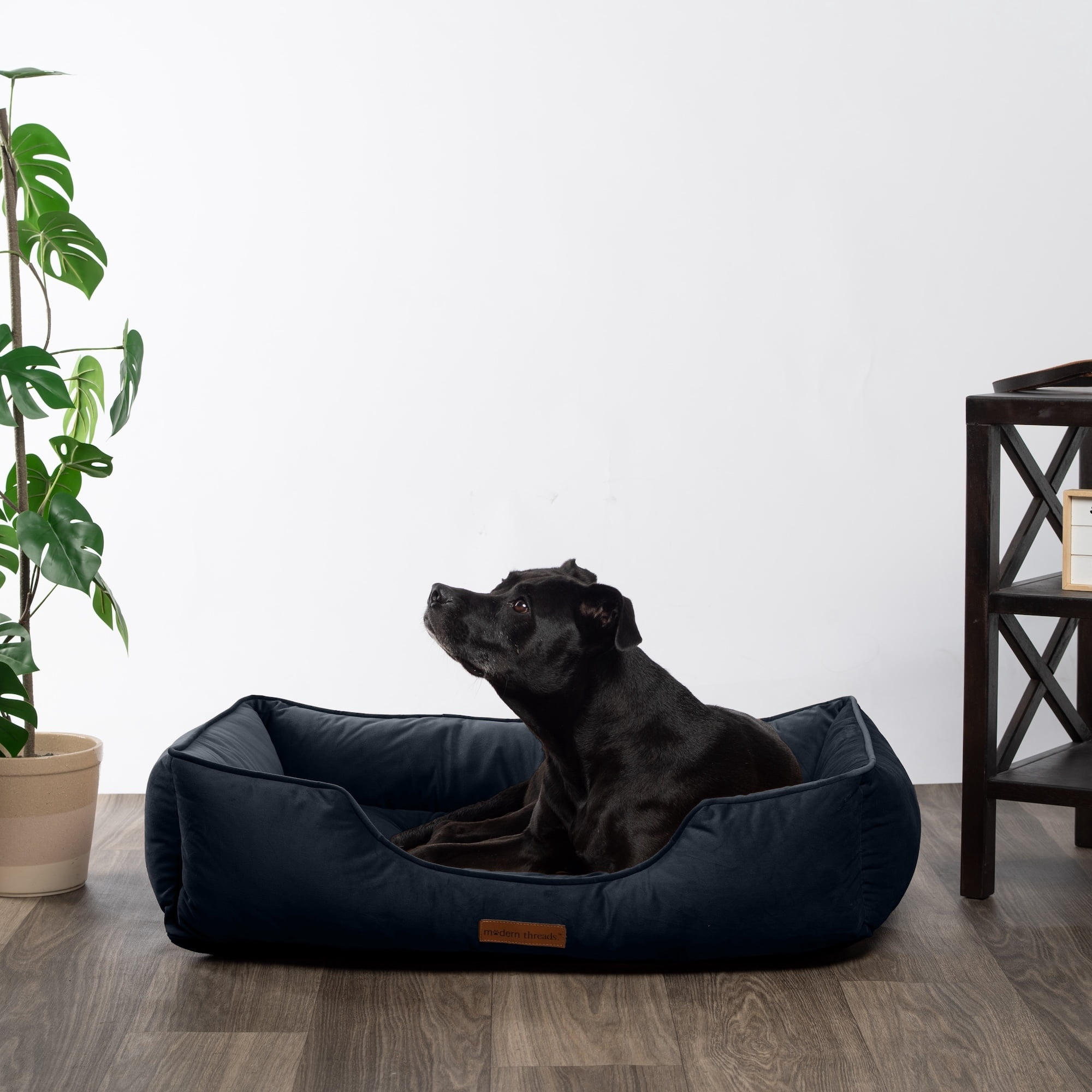 Modern Threads Large Luxury Velvet Tufted-Style Dog Bed, Denim