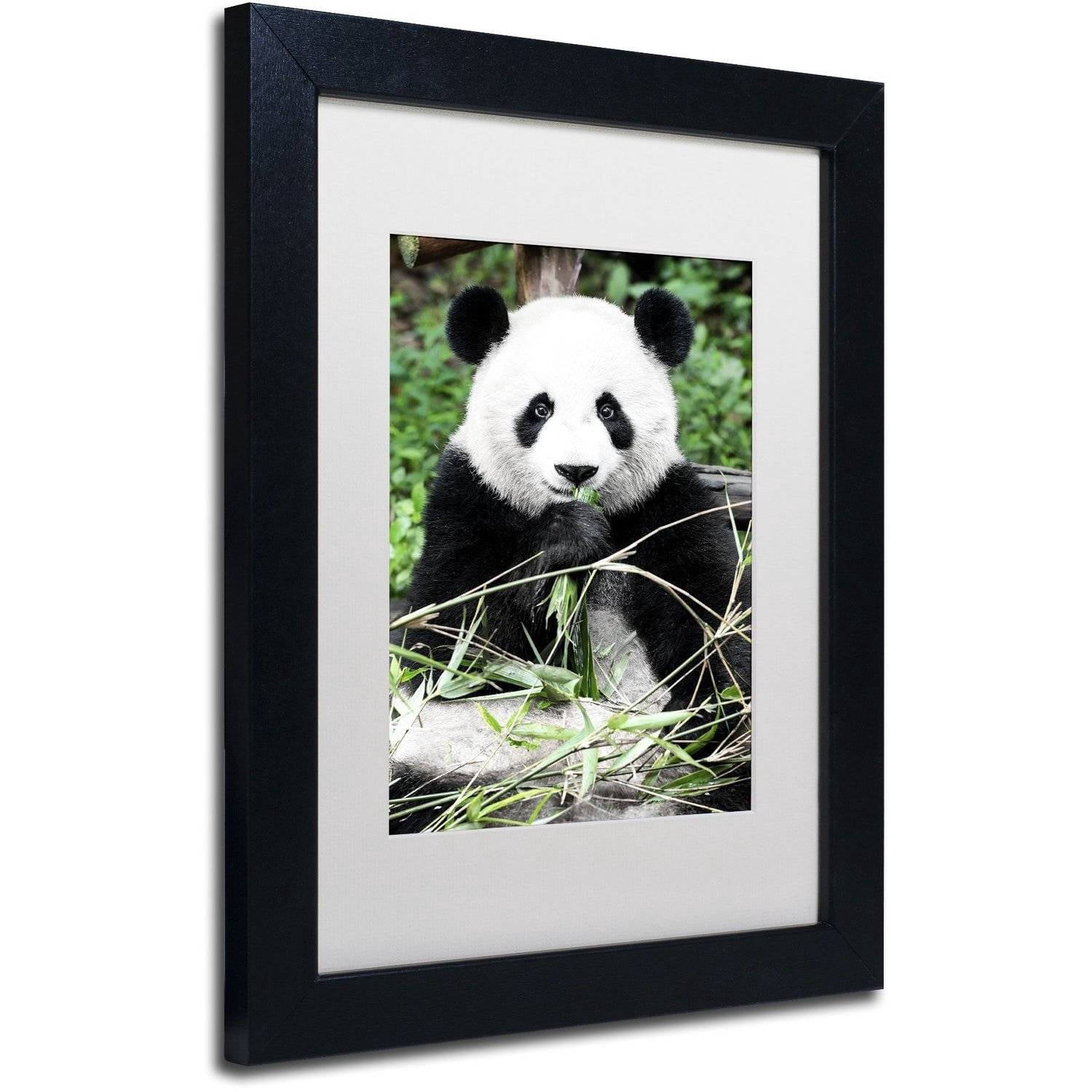Trademark Fine Art "Giant Panda" Canvas Art by Philippe Hugonnard, White Matte, Black Frame