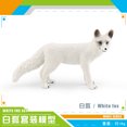 thumbnail image 1 of simulation solid Wild Fox model red fox Big White Fox Arctic fox red fox static children‘s hand-made ornaments, 1 of 7
