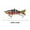 B, variant on Fishing Lure, Sinking Swimbait, Multi-Stage Realistic Fish Imitation with Hardened Fibers, Hand-Painted Clear Coat, Stainless Steel Rattle, Durable ABS Plastic, 10cm