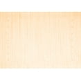thumbnail image 1 of Ahgly Company Machine Washable Indoor Rectangle Solid Orange Modern Area Rugs, 2' x 3', 1 of 1