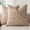 Camel, variant on otnbgsr A set of 2-piece decorative linen grid pillow set, neutral farmhouse retro cushion set, modern bohemian style home decoration sofa chair sofa bedroom living room, 18 x 18 inches