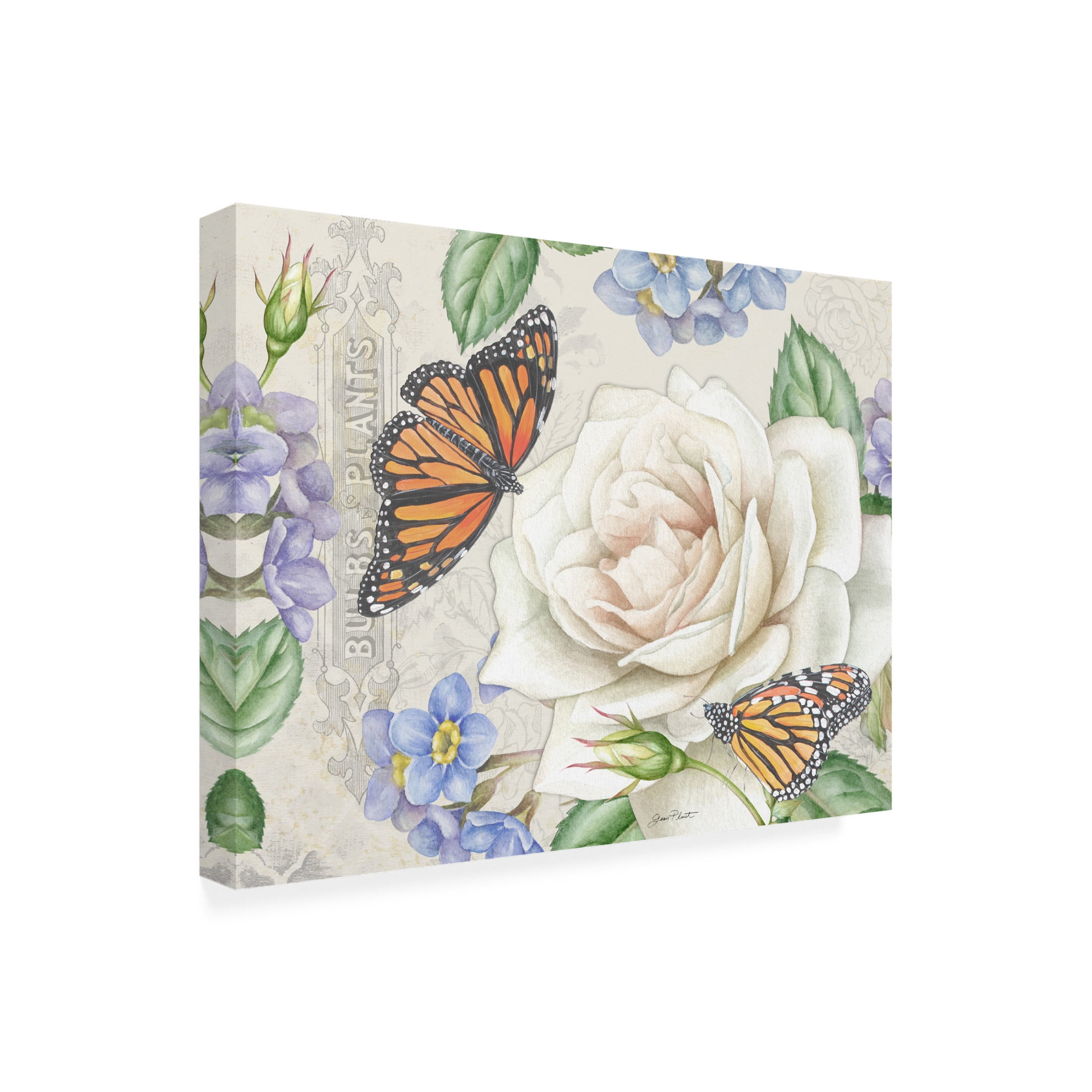 Canvas Wall Art - Jean Plout 'Rose Garden in Bloom C' Wall Art for Living Room, Bedroom, or Office Décor by Trademark Fine Art - 19 x 14 Inches