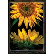 Toland Home Garden Sunflowers On Black Garden Flag