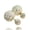 Sterling Crystal Clear, variant on Double Sided Adult Women Front Back Peek A Boo Ball Stud Earrings (Green Sparkle)