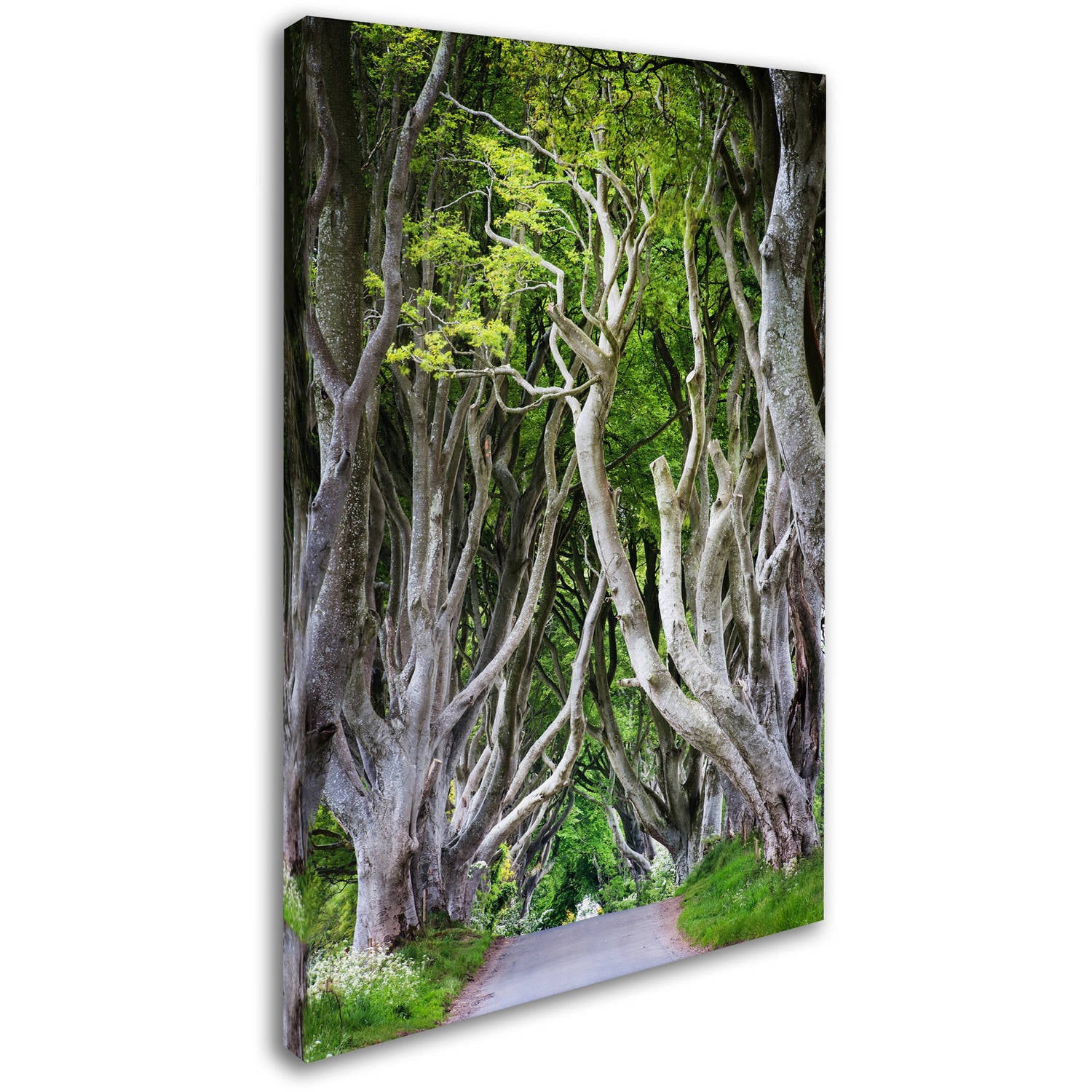 Trademark Fine Art "Down There" Canvas Art by Philippe Sainte-Laudy