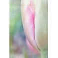 thumbnail image 2 of Murdock, Ramona 11x14 White Modern Wood Framed Museum Art Print Titled - Spring Beauty II, 2 of 4