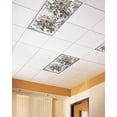 thumbnail image 2 of Fluorescent Light Covers for Ceiling Lights 4 Pack,Farmhouse Owl Magnetic Ceiling Light Covers 2x4ft for Classroom Office School,Country Envelope Postmark Botancial Overhead Drop Ceiling Light Shade, 2 of 7