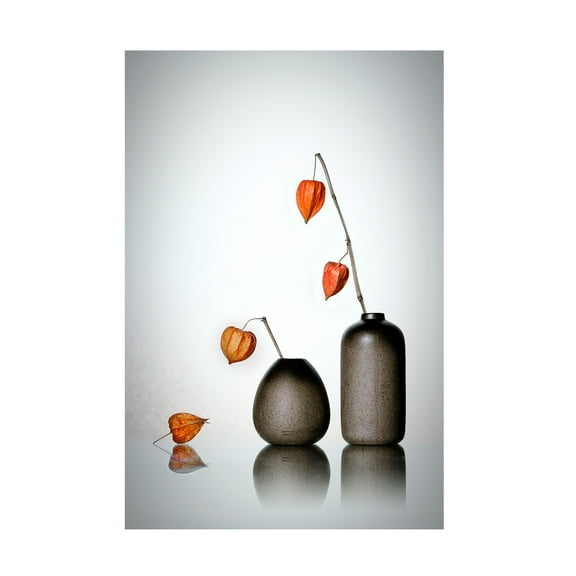 Canvas Wall Art - Lydia Jacobs 'Hello' Wall Art for Living Room, Bedroom, or Office Décor by Trademark Fine Art - 12 x 19 Inches