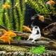 thumbnail image 5 of Adorno Pesca para Gatitos Likrtyny Figura Acuario C, 5 of 7