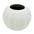 thumbnail image 2 of WEIWEIGG Pumpkin Shape Plastic Vase for Flower Dry Flower Hydroponic Planter Decorative Vase for Home Room Office Party Wedding, 2 of 6