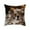 D, variant on Fasiaou Cat Pattern Throw Pillow Covers Decorative Outdoor Soft Pillowcases Home Decor Living Room Cushion Case for Bed Couch Car 18x18 Inch,B