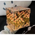 thumbnail image 2 of 2024 Creative Diy Tulip Flower Sea Cube Three-Dimensional Small Night Lamp Material Package for Girlfriend Couple Girlfriends, 2 of 4