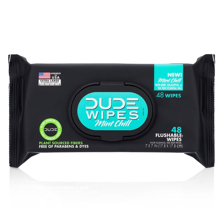 DUDE Flushable Wipes for Men, Mint Chill, 48 Count